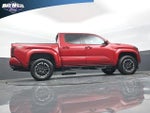 2025 Tacoma Thumbnail 24