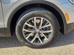 2019 Tiguan Thumbnail 5