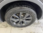 2024 Tiguan Thumbnail 10