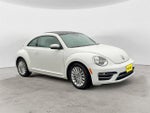 2019 Beetle Thumbnail 6