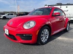 2019 Beetle Thumbnail 4