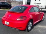 2019 Beetle Thumbnail 7