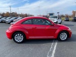 2019 Beetle Thumbnail 8