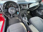 2019 Beetle Thumbnail 12