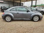2018 Beetle Thumbnail 3