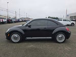 2016 Beetle Thumbnail 2