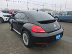 2016 Beetle Thumbnail 3