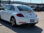 2017 Beetle Thumbnail 5
