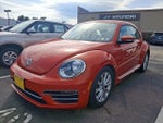 2017 Beetle Thumbnail 3