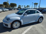 2019 Beetle Thumbnail 12
