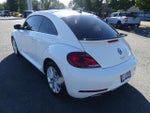 2019 Beetle Thumbnail 3