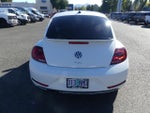 2019 Beetle Thumbnail 4