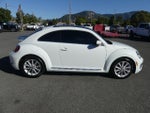 2019 Beetle Thumbnail 6