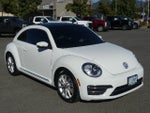 2019 Beetle Thumbnail 7