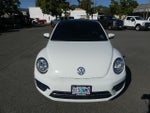 2019 Beetle Thumbnail 8