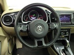 2018 Beetle Thumbnail 10