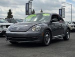 2013 Beetle Thumbnail 4