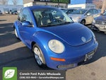 2007 New Beetle Thumbnail 3