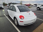 2010 New Beetle Thumbnail 2