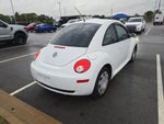 2010 New Beetle Thumbnail 3