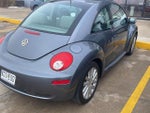 2008 New Beetle Thumbnail 6