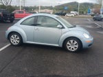 2010 New Beetle Thumbnail 2