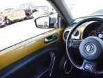 2016 Beetle Thumbnail 18
