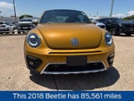 2018 Beetle Thumbnail 2