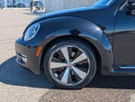 2013 Beetle Thumbnail 9