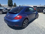 2012 Beetle Thumbnail 5