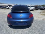 2012 Beetle Thumbnail 6