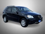 2006 M-Class Thumbnail 3