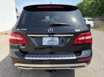 2013 M-Class Thumbnail 3