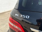 2013 M-Class Thumbnail 14