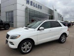 2014 M-Class Thumbnail 2