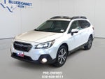 2019 Outback Thumbnail 1