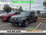 2019 Outback Thumbnail 1