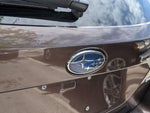 2022 Outback Thumbnail 15