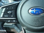 2022 Outback Thumbnail 6