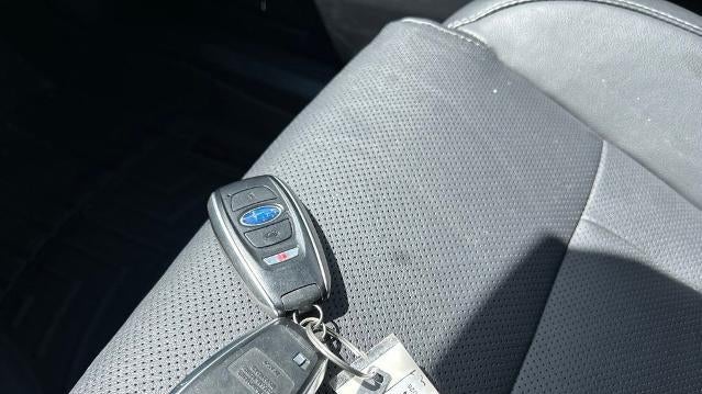 2024 Subaru Outback Limited XT