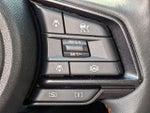 2025 Crosstrek Thumbnail 19