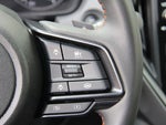 2025 Crosstrek Thumbnail 22