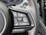 2025 Crosstrek Thumbnail 21