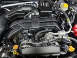2025 Crosstrek Thumbnail 23