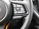 2025 Crosstrek Thumbnail 19