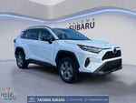 2025 RAV4 Hybrid Thumbnail 7
