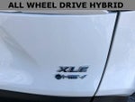 2025 RAV4 Hybrid Thumbnail 2