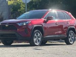 2025 RAV4 Hybrid Thumbnail 14