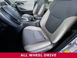 2024 RAV4 Hybrid Thumbnail 3