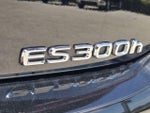 2024 ES 300h Thumbnail 14